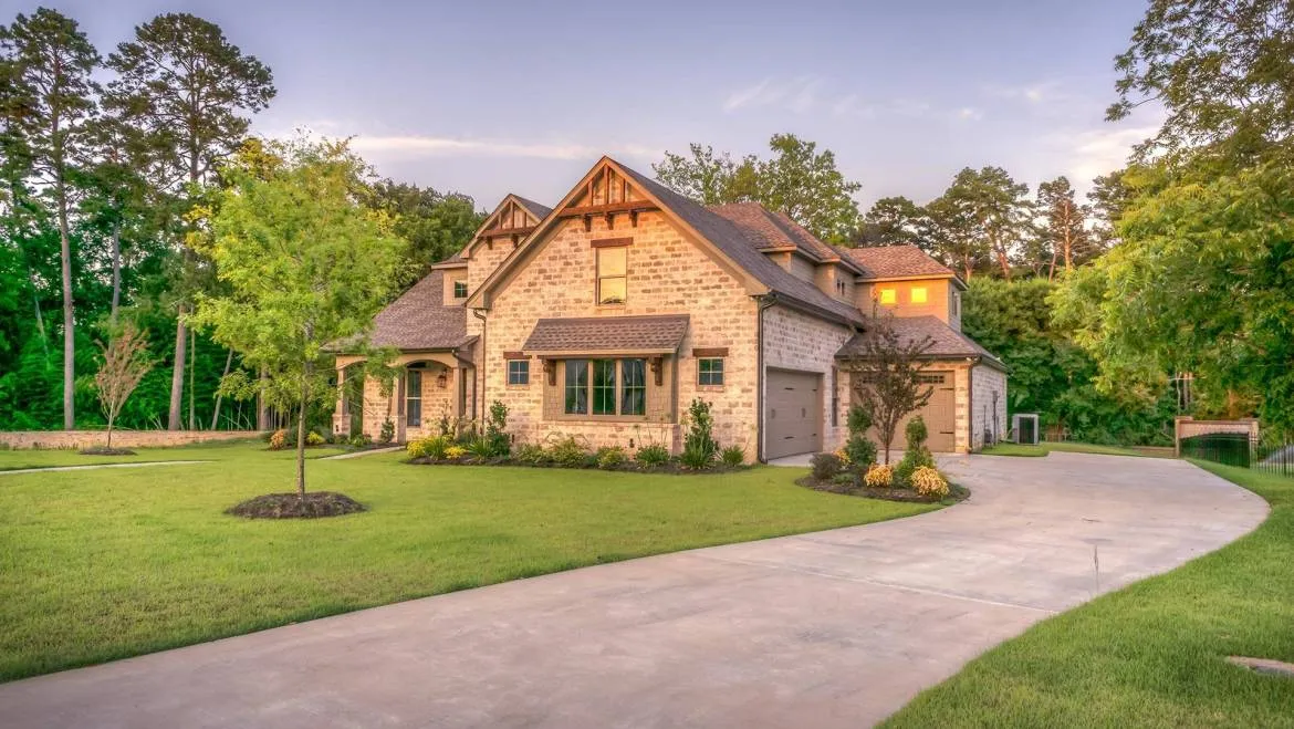 Tree Advice and Mortgage Reports for Home Owners
