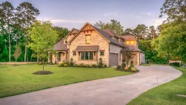 Tree Advice and Mortgage Reports for Home Owners